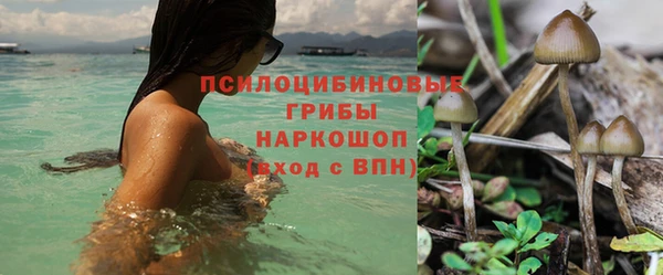 каннабис Алексин